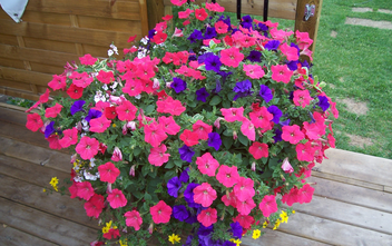 Flower Basket